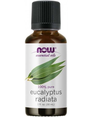 Óleo essencial de Eucaliptus Radiata eucalipto radiata 1oz 30ml NOW Foods