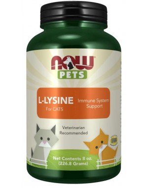 L Lysine for Cats powder 8oz 226g NOW Pets