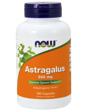 Astragalus 500 mg 100 Capsules NOW Foods