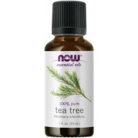 Óleo essencial de Tea Tree melaleuca 1oz 30ml NOW Foods