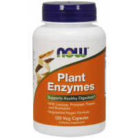 Plant Enzymes 120 Cápsulas NOW Foods