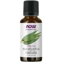 EUCALYPTUS RADIATA OIL  1 OZ NOW Foods