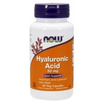 Hyaluronic Acid with MSM 60 Cápsulas NOW Foods