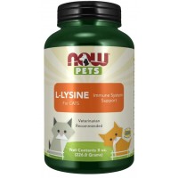 L Lysine for Cats para gatos em pó 8oz 226g NOW Pets