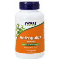 Astragalus 500 mg 100 Capsules NOW Foods